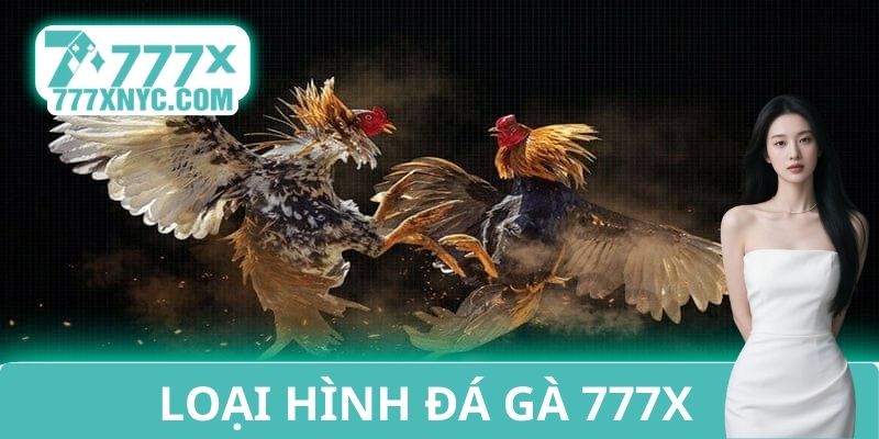 Loại hình đá gà 777X
